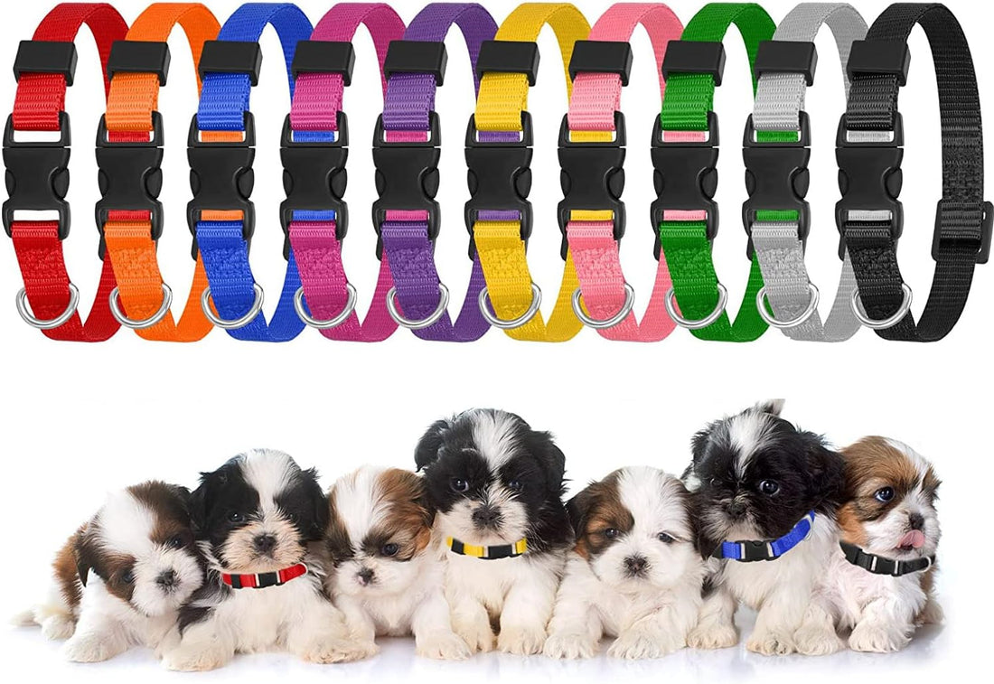 Yorgewd 10 Pack Puppy ID Collars, Push Lock Puppy Litter Collars Adjustable ID M