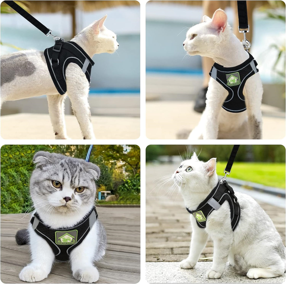 Cat Collars Harnesses and Lead Set Kitten Walking Escape Proof Adjustable Lead