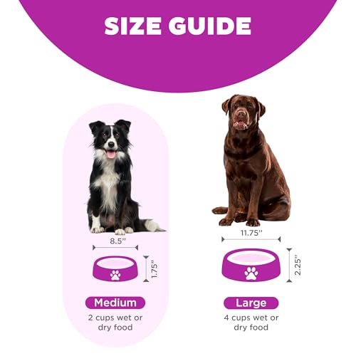 Fun Feeder Slo Bowl, Slow Feeder Dog Bowl, Medium/Mini, Purple