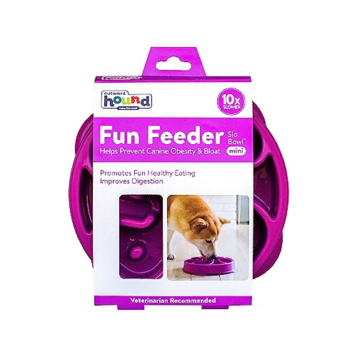 Fun Feeder Slo Bowl, Slow Feeder Dog Bowl, Medium/Mini, Purple